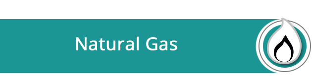 The Natural Gas Industry