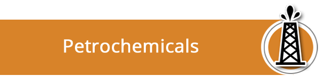 The Petrochemical Industry